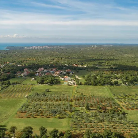 Fran Nyaraló Mednjan